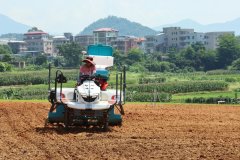 大量坡地、地盘无人打